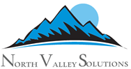 NVS Company Logo